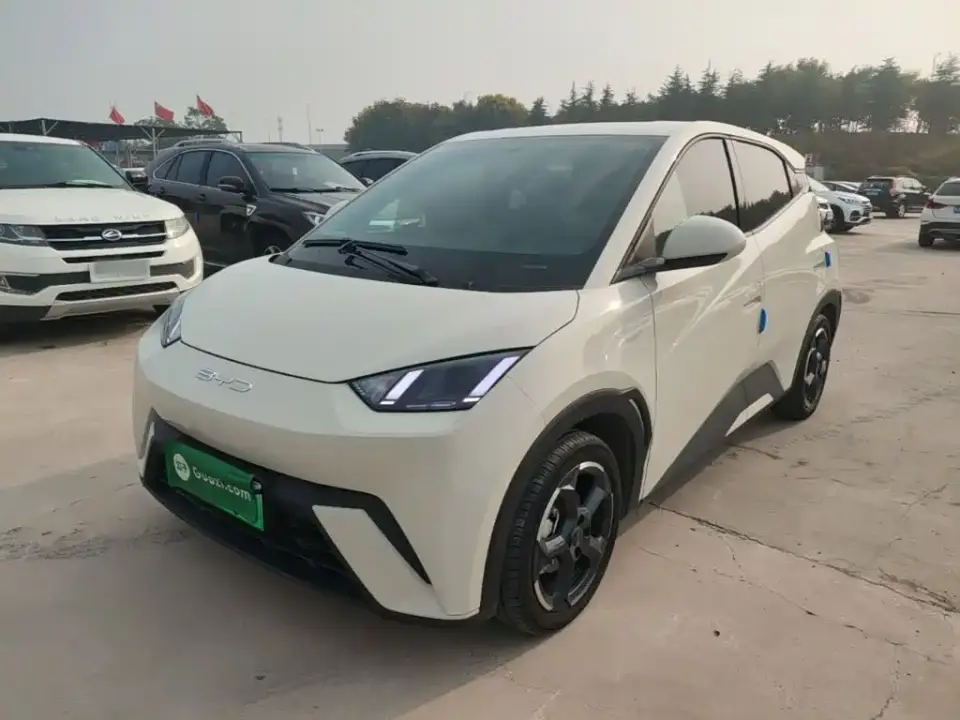BYD Seagull Freedom Edition 2024