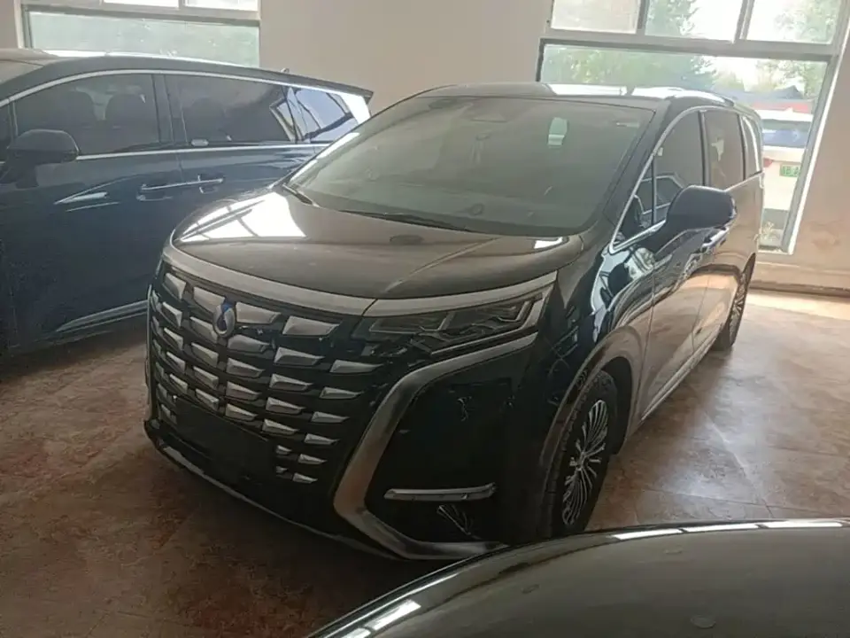 Denza D9 DM-i 970 AWD Flagship 2023
