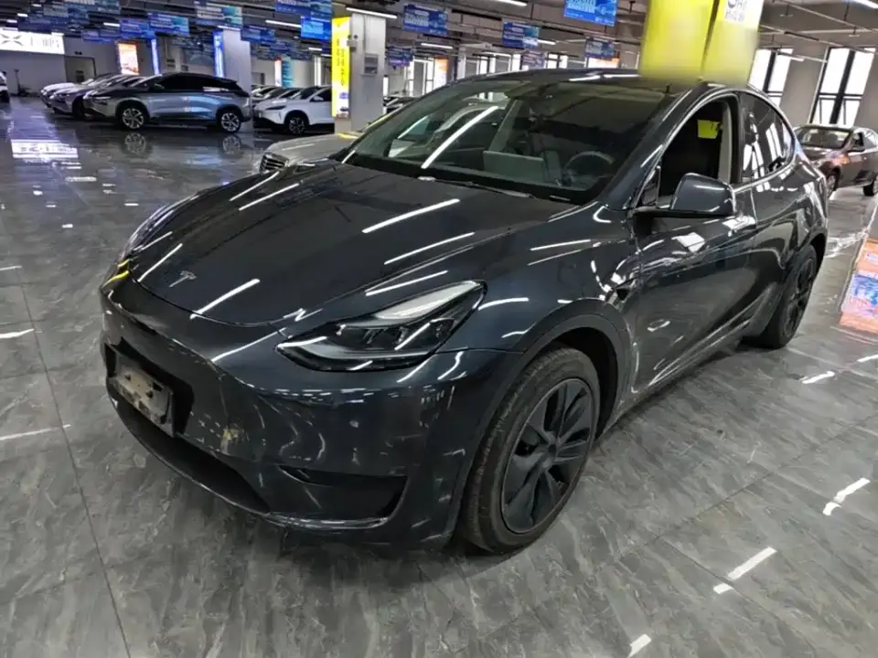 Tesla Model Y Rear-Wheel Drive Version 2024