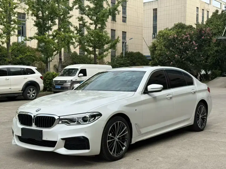 BMW 5 Series 530Li Leading M Sport Package 2019