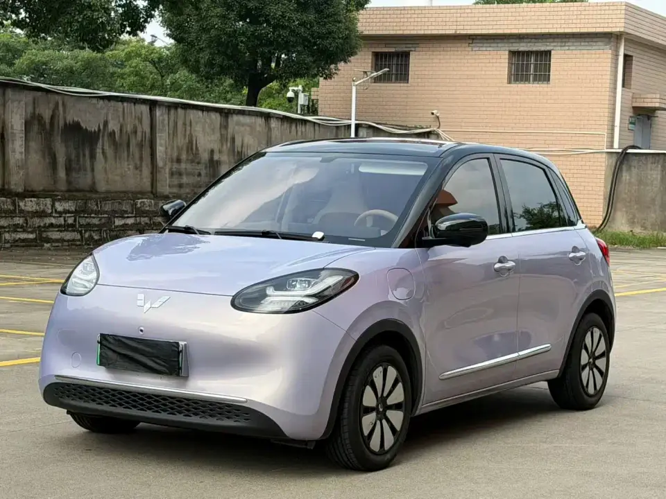 Wuling Motors Wuling Bingo Model 333km Smart Premium 2025