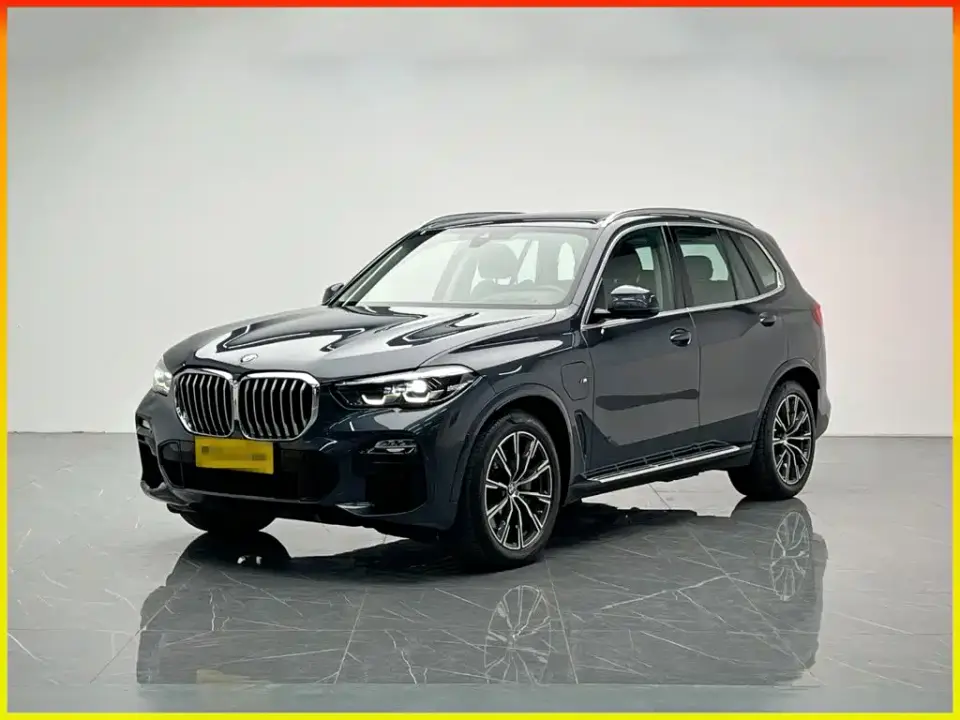 BMW X5 New Energy(Imported) xDrive45e M Sport Package 2020