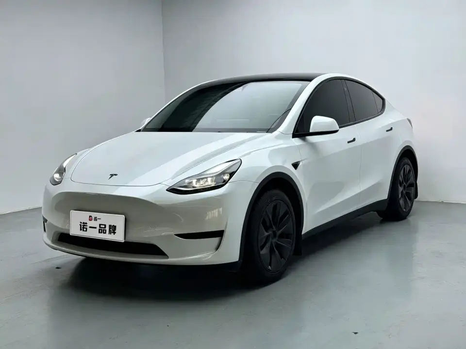 Tesla Model Y Rear-Wheel Drive Edition 2024