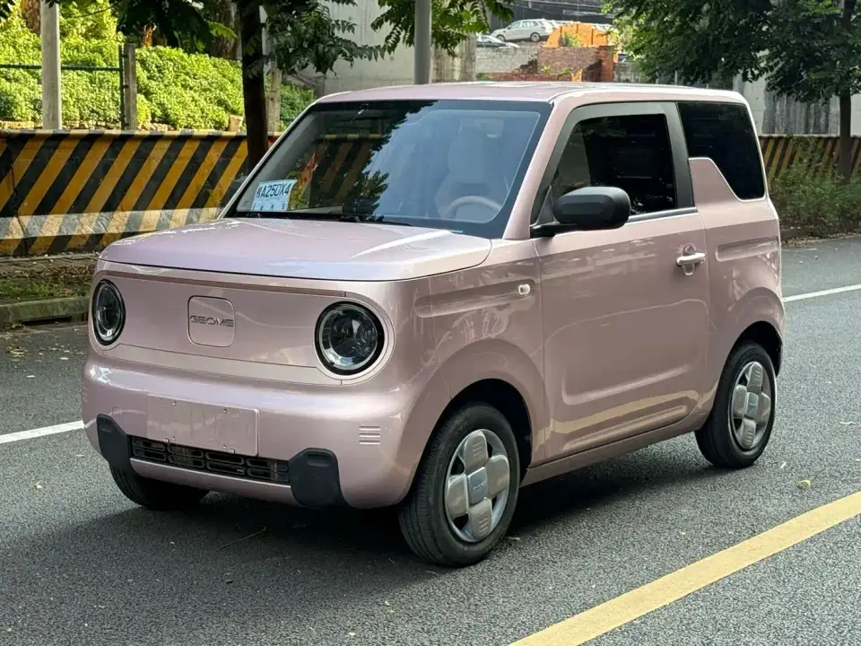 Geely Galaxy Panda Panda Mini 200km Endurance Bear 2023
