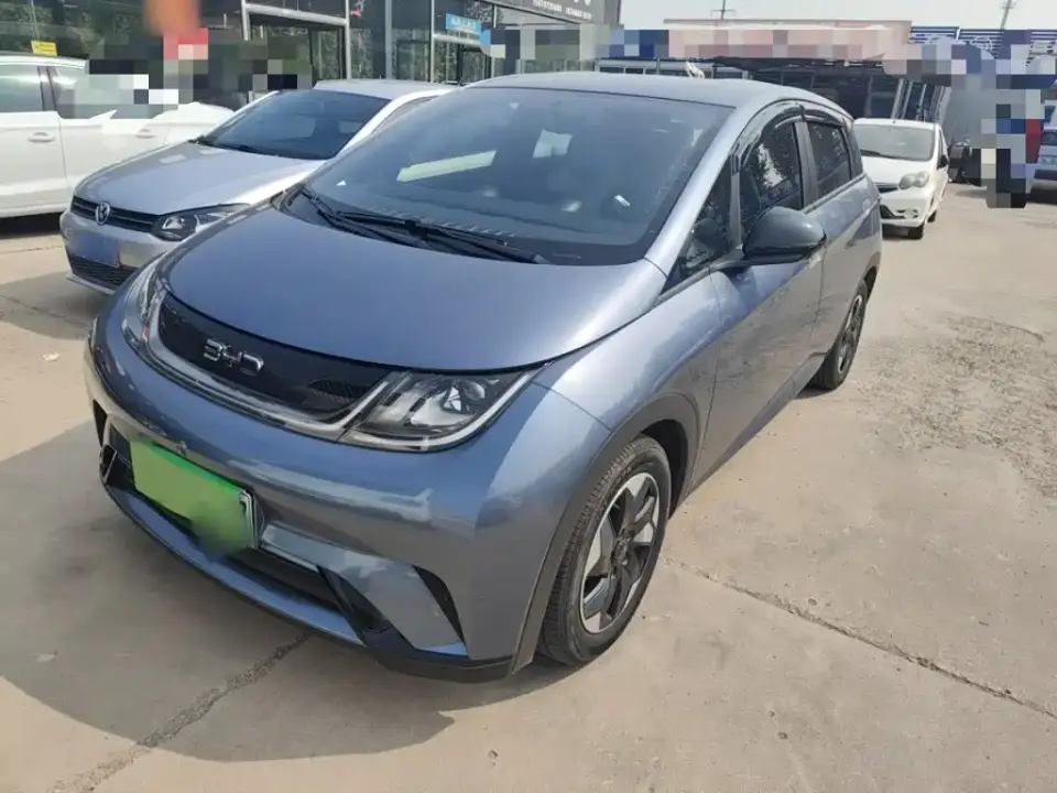 BYD Dolphin Glory Edition 420km Freedom Edition 2024