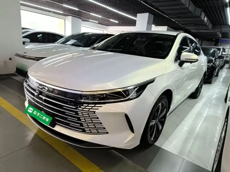 BYD Destroyer 05 Champion Edition DM-i 120KM Premium 2024