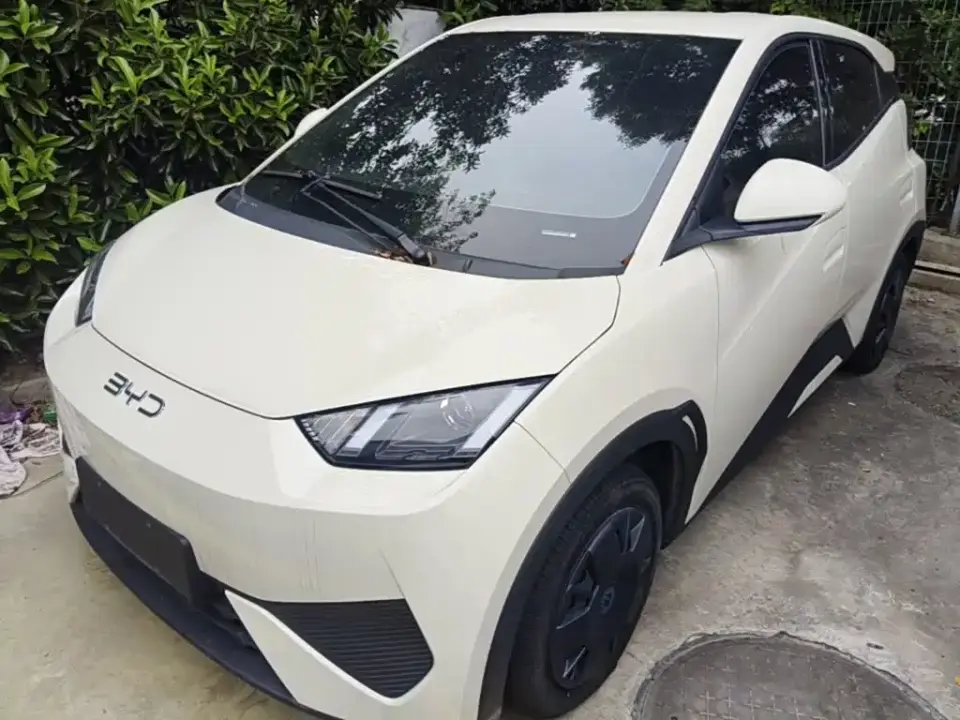 BYD Seagull 305km Vitality 2025