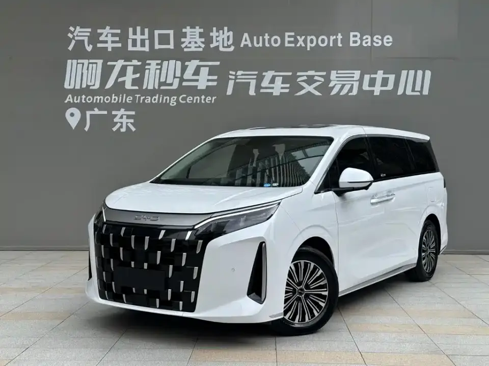 BYD M9 Model 1060 Pilot Edition 2025