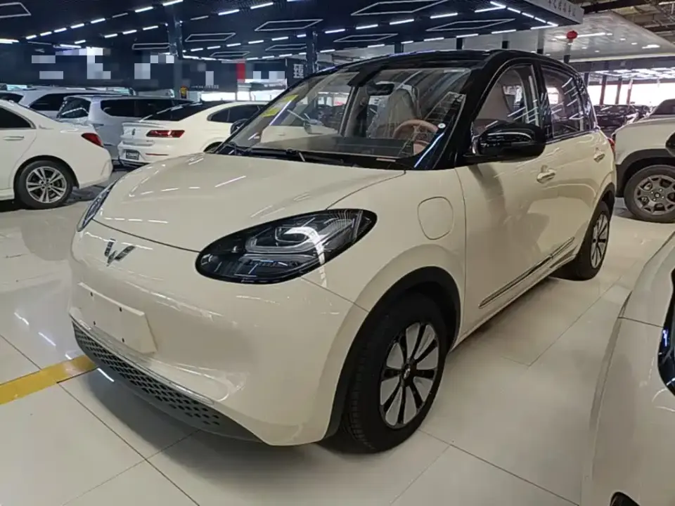 Wuling Motors Wuling Bingo Model 333km Joy Edition 2026