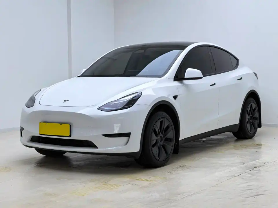 Tesla Model Y Rear-Wheel Drive Version 2024