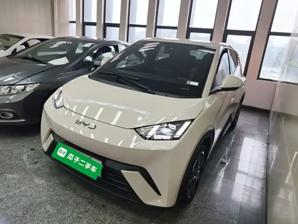 BYD Seagull 305km Freedom 2025