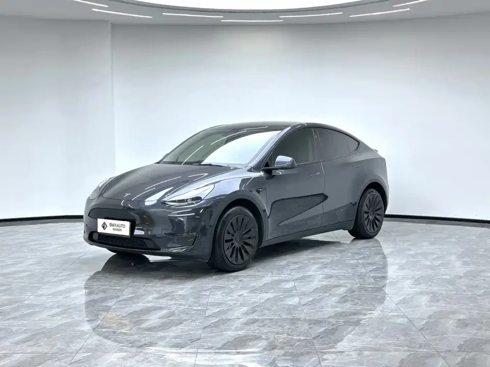 Tesla Model Y Long Range AWD 2024