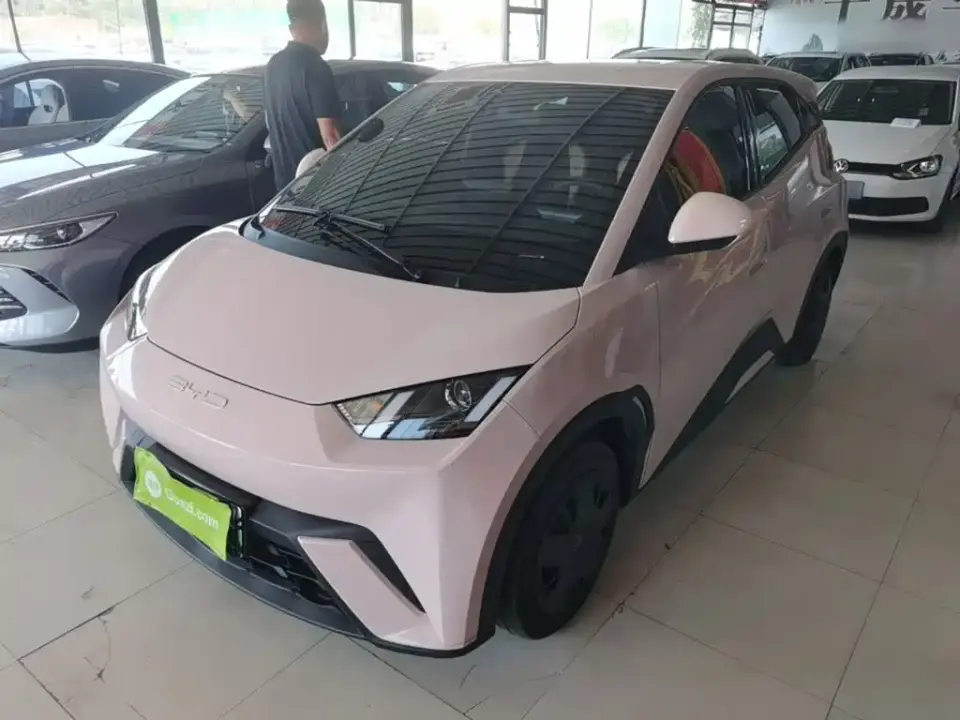 BYD Seagull Vitality Edition 2024