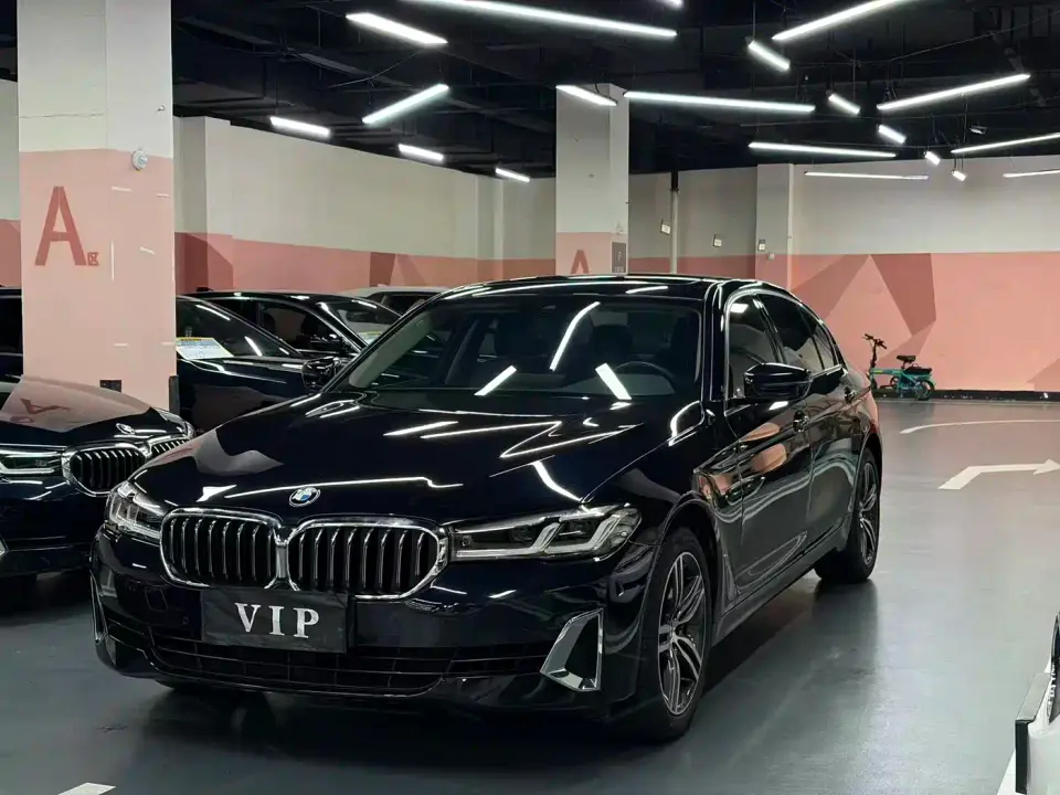 BMW 5 Series 530Li Leading Luxury Package 2021