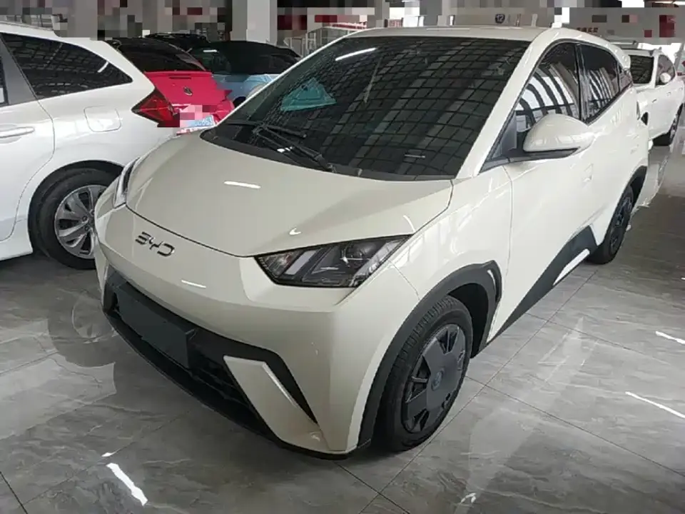 BYD Seagull 305km Vitality 2024