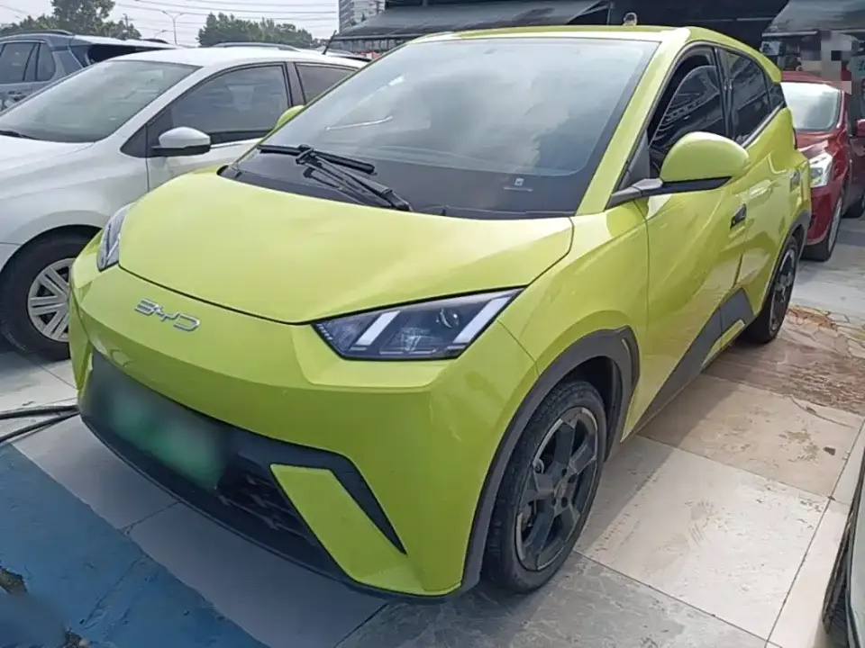 BYD Seagull Freedom Edition 2024
