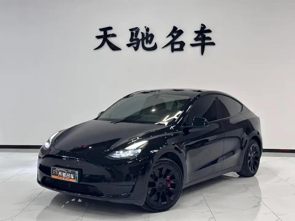 Tesla Model Y Model Long Range AWD 2021