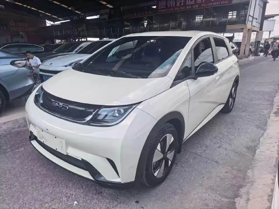 BYD Dolphin 420km Freedom Edition 2023