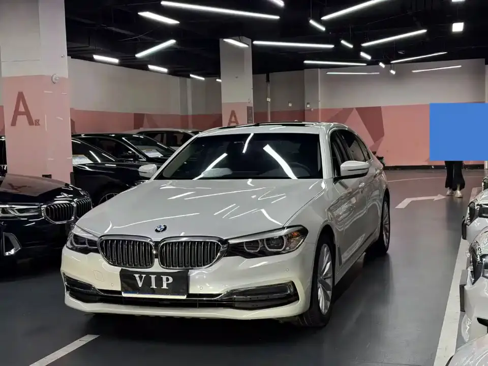 BMW 5 Series 530Li Leading Luxury Package 2019