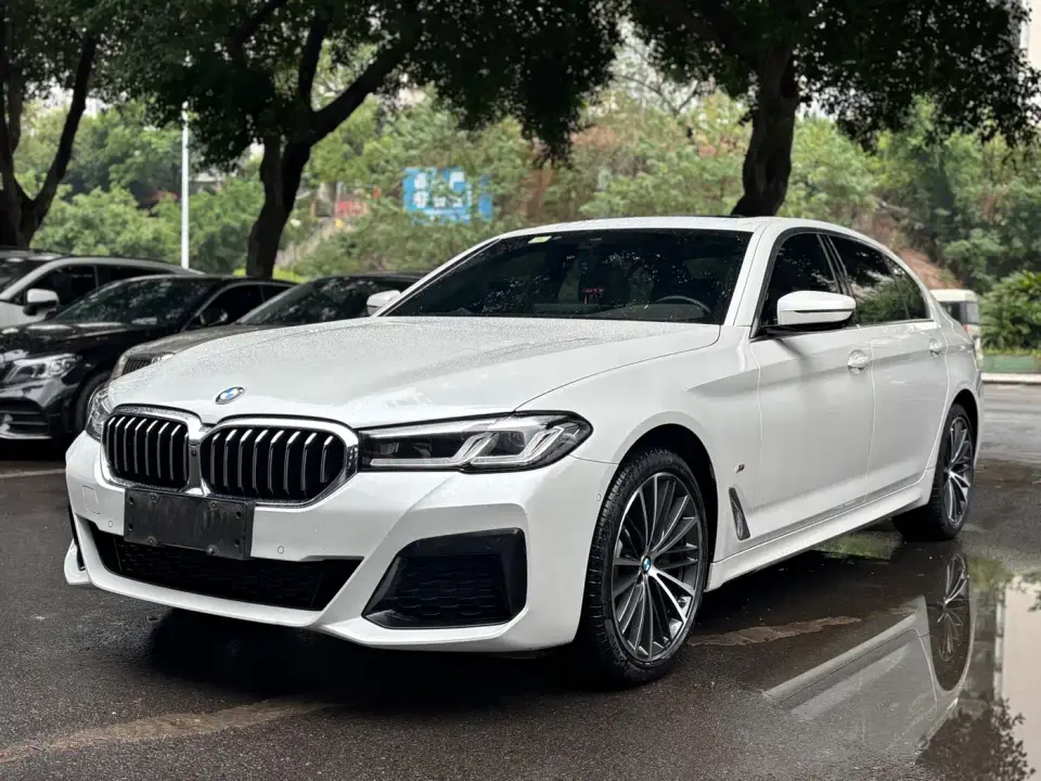 BMW 5 Series 530Li Leading M Sport Package 2021