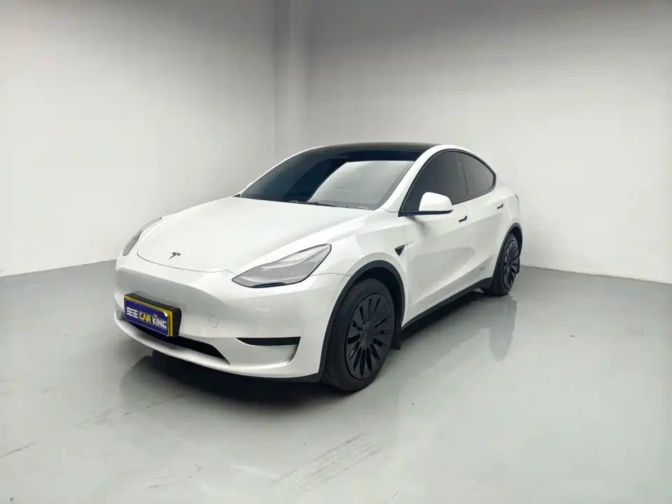 Tesla Model Y Rear-Wheel Drive Version 2024