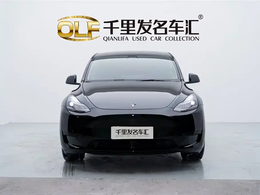 Tesla Model Y Rear-Wheel Drive Version 2022