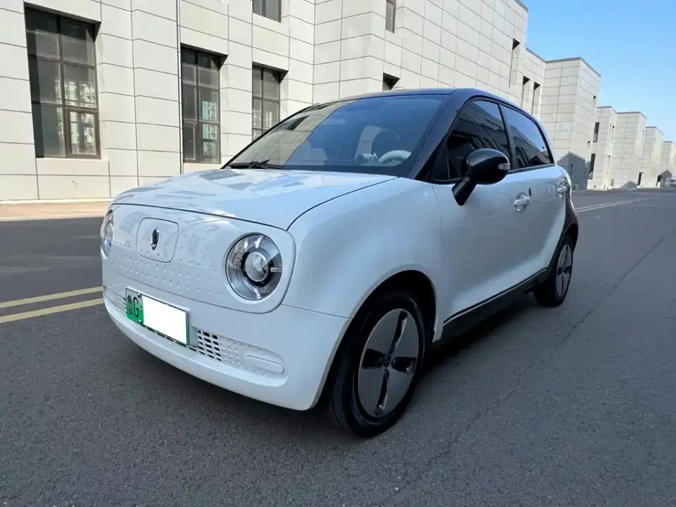 ORA Black Cat 301km Basic Model 2020