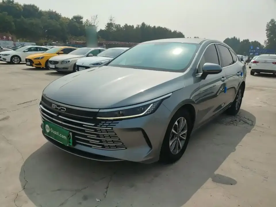 BYD Destroyer 05 Glory Edition DM-i 55KM Luxury 2024