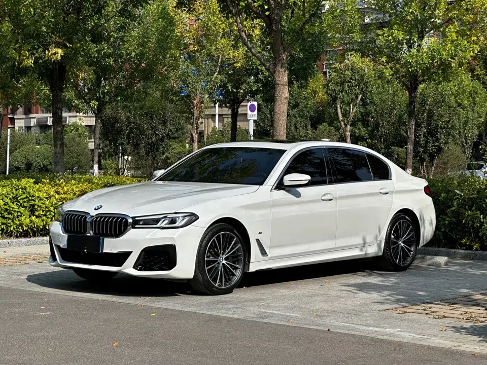 BMW 5 Series 530Li Leading M Sport Package 2023