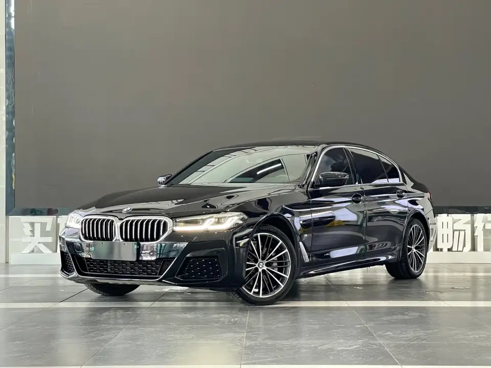 BMW 5 Series 530Li Leading M Sport Package 2021