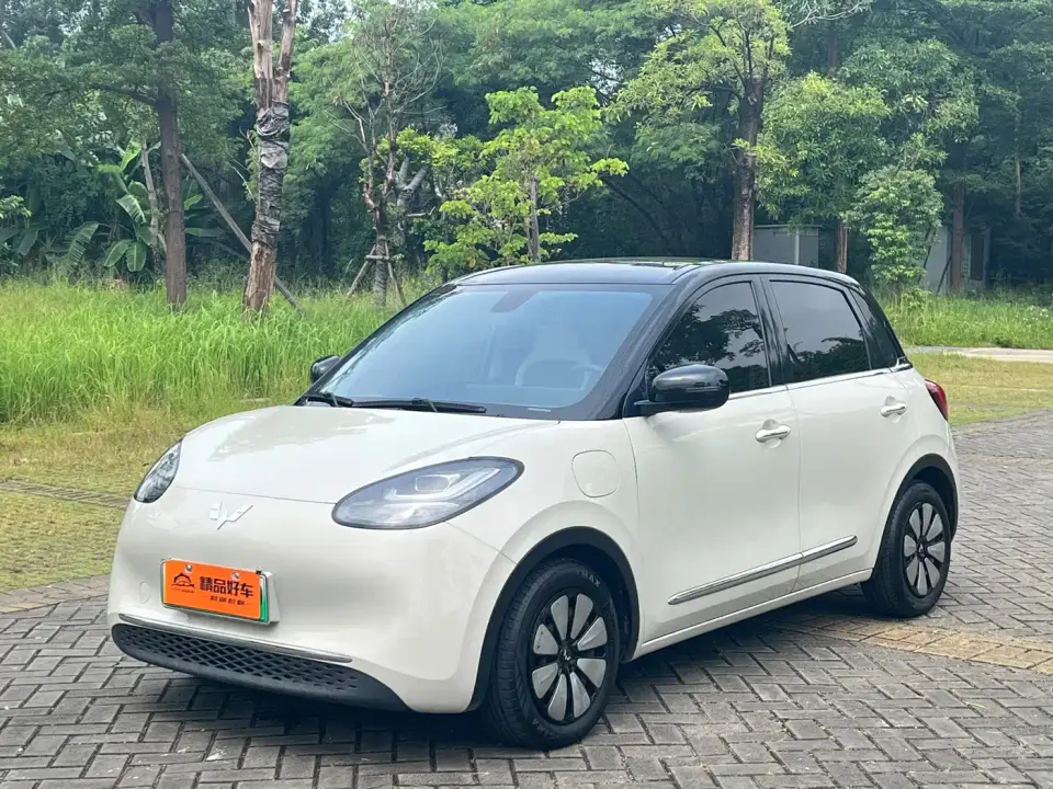 Wuling Motors Wuling Bingo 410km Smart Premium Edition 2024