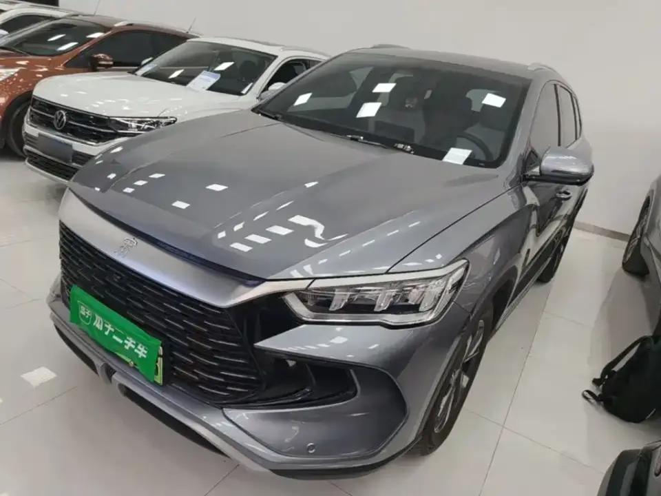 BYD Song Pro New Energy Glory Edition DM-i 71KM Pilot 2024