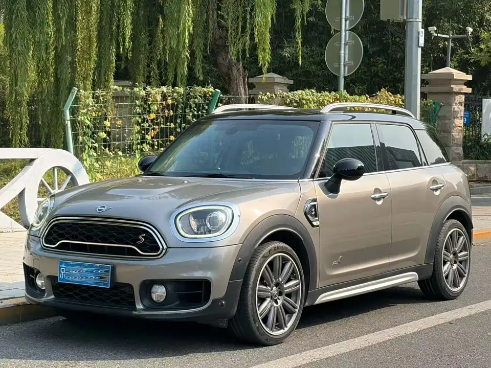 Mini COUNTRYMAN 2.0T COOPER S ALL4 Artist 2019