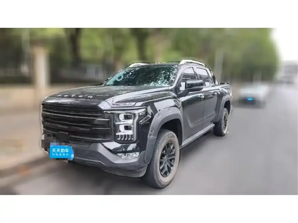 Foton Mars Mars 7 2.0T Diesel Automatic 2WD Long Wheelbase Voyage Edition 2024