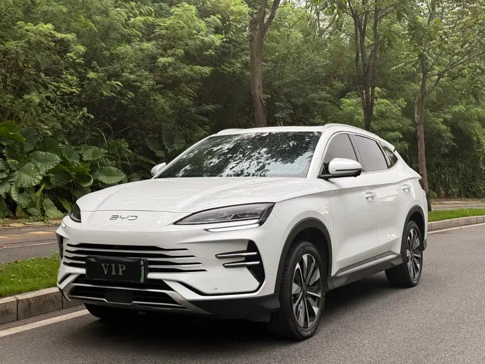 BYD Song PLUS PHEV DM-i 112KM Honor 2024