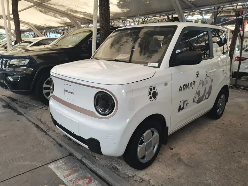 Geely Galaxy Panda Panda mini 200km Endurance Bear 2024