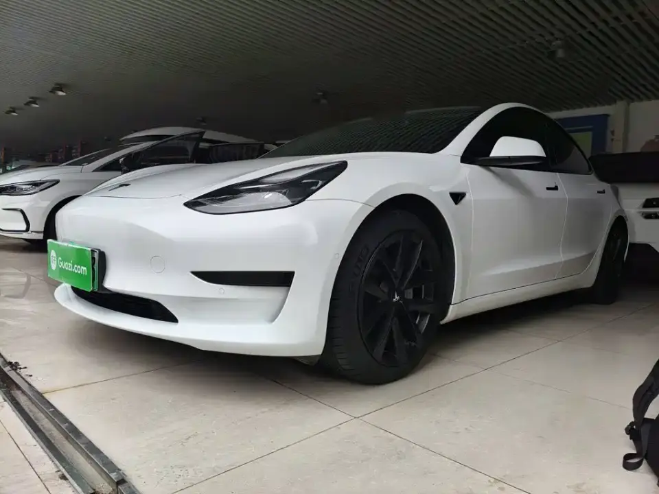 Tesla Model 3 Facelift Standard Range RWD Upgrade 3D1 2021