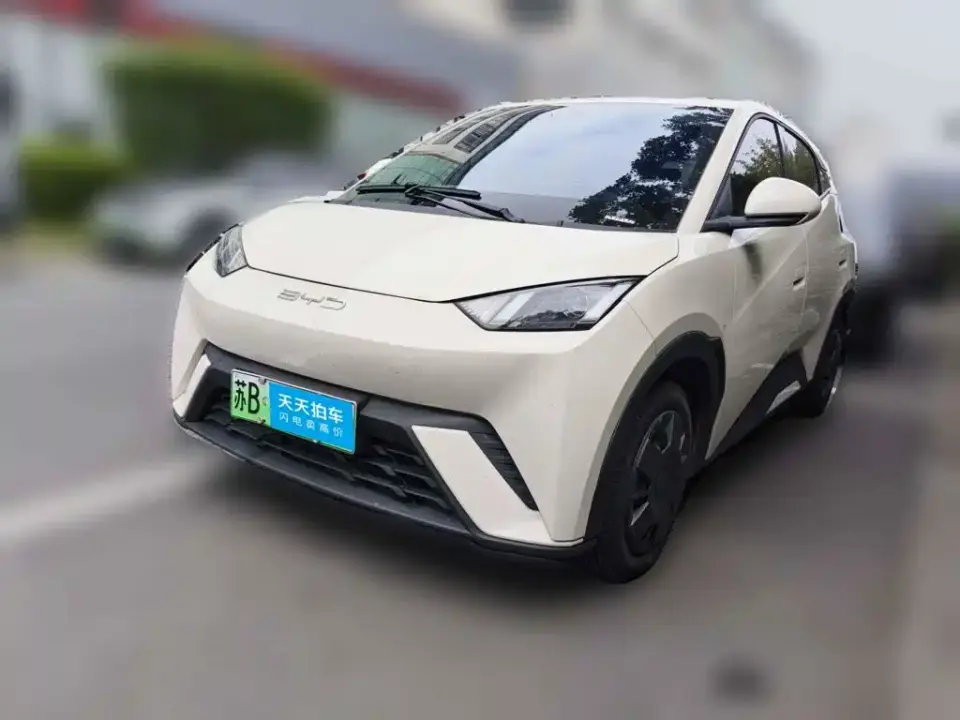 BYD Seagull Glory Edition 305km Vitality Edition 2024