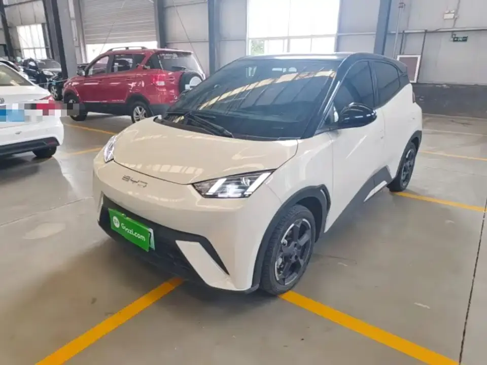 BYD Seagull Flying Edition 2023