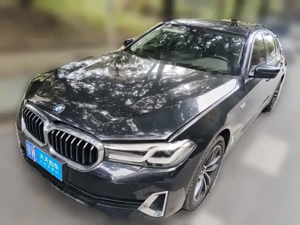 BMW 5 Series 525Li Luxury Package 2020