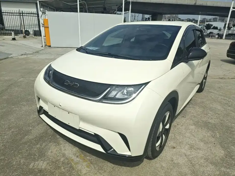 BYD Dolphin Glory Edition 420km Freedom Edition 2024