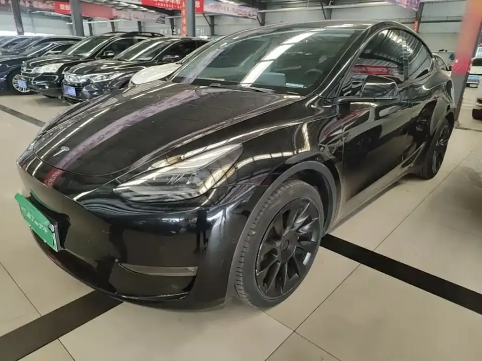 Tesla Model Y Standard Range Rear-Wheel Drive 2021