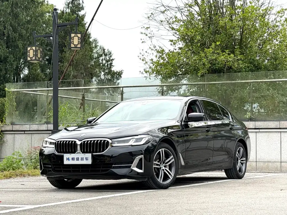 BMW 5 Series 530Li Leading Luxury Package 2022