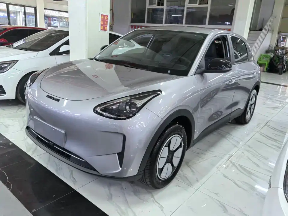 Geely Galaxy Starry Wish 310km Youth Edition 2025