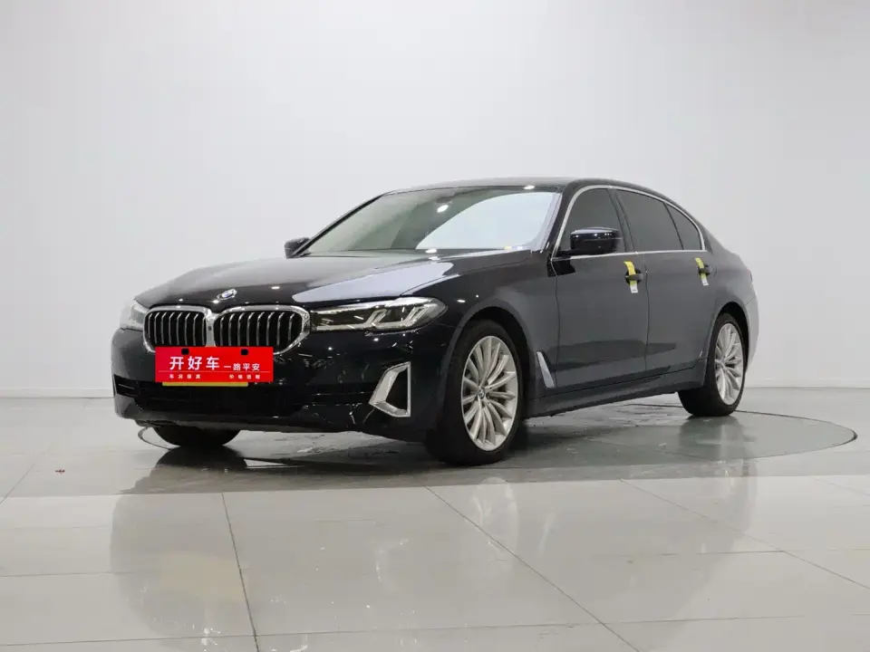 BMW 5 Series 530Li Premium Luxury Package 2021