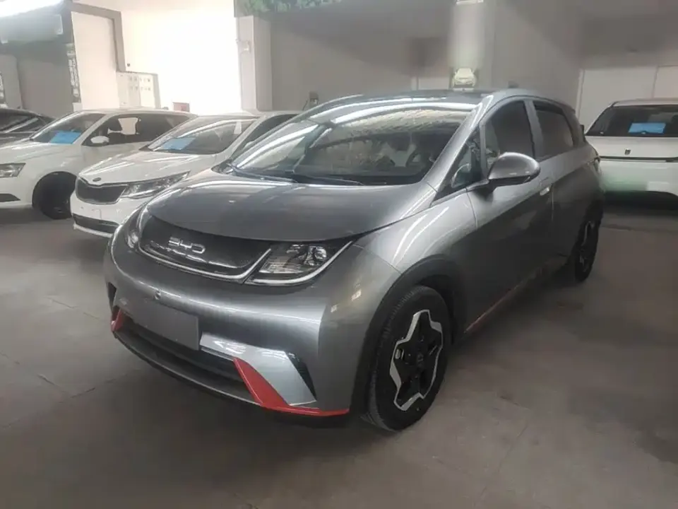 BYD Dolphin Model 405km Fashion Edition 2022