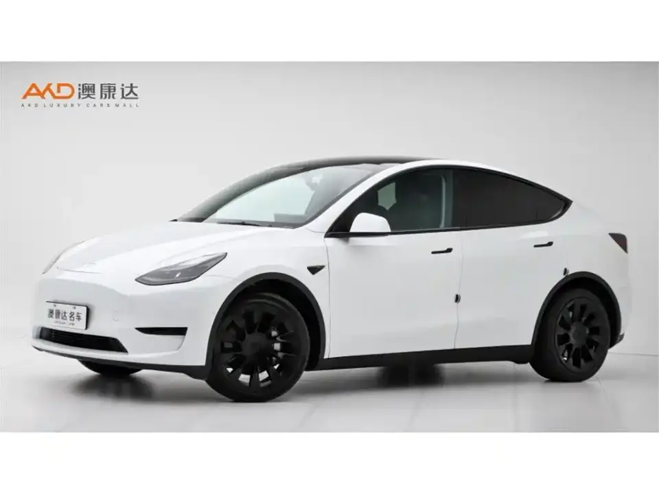 Tesla Model Y Rear-Wheel Drive Version 2022