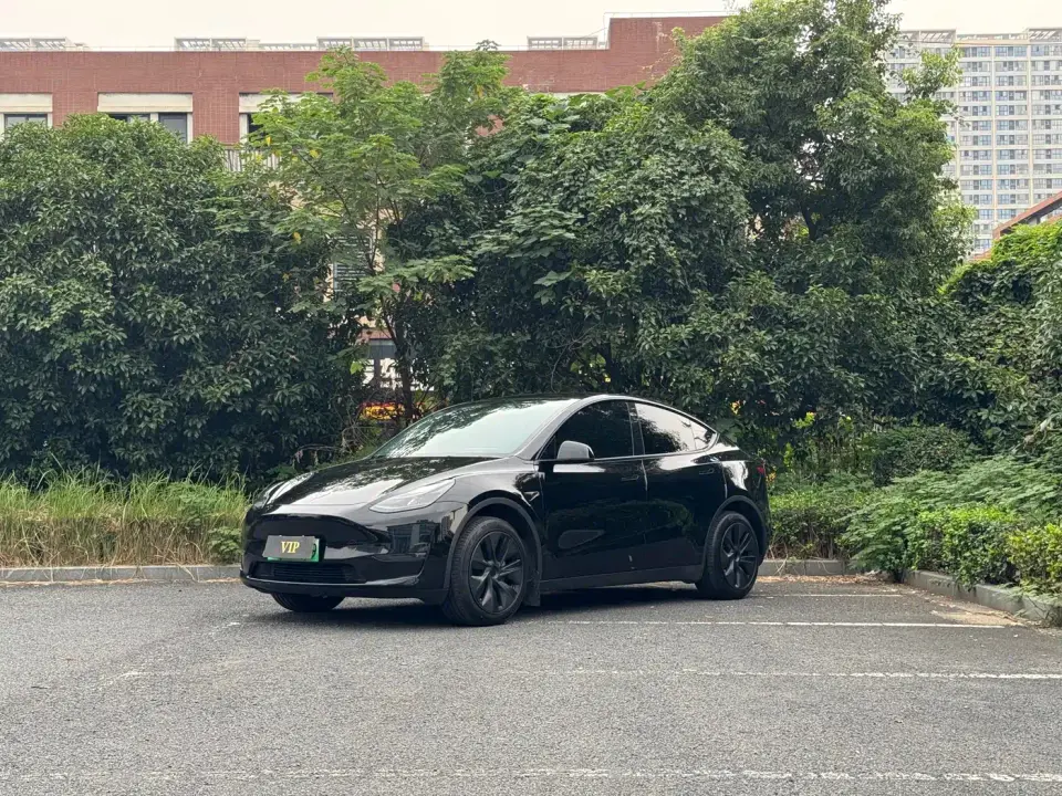 Tesla Model Y Long Range AWD 2024