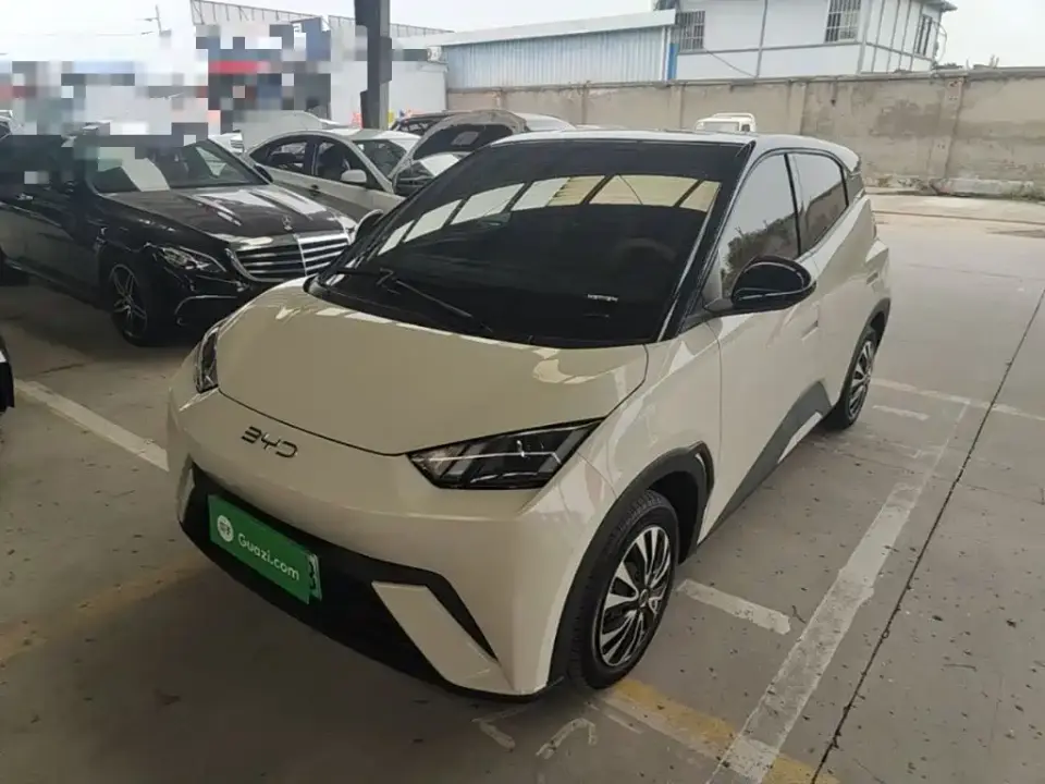 BYD Seagull Glory Edition 305km Vitality Edition 2024