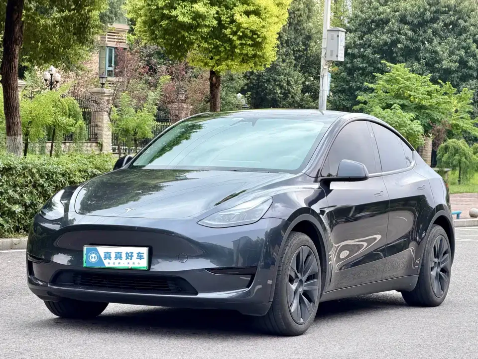 Tesla Model Y Rear-Wheel Drive Version 2024